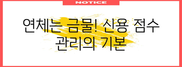 KCB 신용 점수를 높여 대출 금리를 낮추는 기술