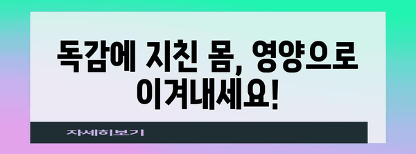 독감 대처 10가지 음식 | 증상 완화 영양 요리법