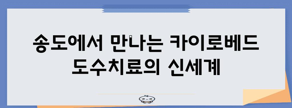 카이로베드 마법 | 송도에서 체험하는 도수치료