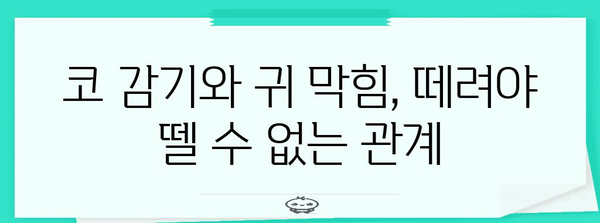 귀 막힘과 코 감기 연관성 분석 | 귀관폐쇄증후군 원인과 해결법