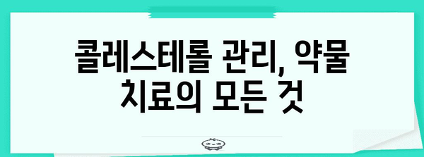 콜레스테롤 관리의 알파벳, 식단에서 약물까지 모두 공개