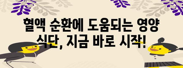 혈액 순환 개선 비법 | 영양제와 영양 식단으로 건강한 몸 쑬