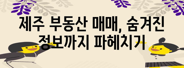 제주 현명한 부동산 매매를 위한 공인 중개인 가이드