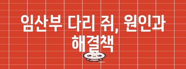 임산부 다리 쥐 문제 | 걱정 없게 해결하는 5가지 방법