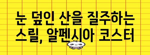 평창 알펜시아 알파인 코스터 | 스릴 넘치는 산속 라이딩 경험기