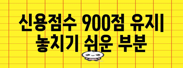 신용점수 900점 유지하기 | 고액 점수를 지속적으로 유지하는 비결