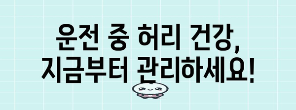 운전 안전과 편안함을 위한 자동차 허리 등받이 추천 가이드