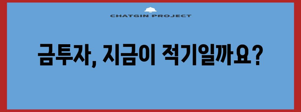 지금 금투자를 시작해야 할까요? 전문가가 말하는 늦지 않은 투자 시기