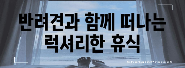 태안 애견 풀빌라 매력 | 사랑하는 댕댕이와 즐기는 여행