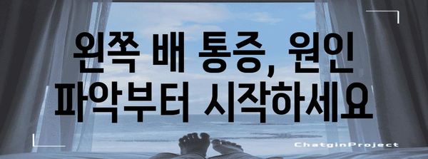 왼쪽 배 통증의 원인 5가지와 효과적인 해결책