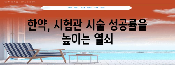 시험관 시술 성공률 향상 | 한약의 힘