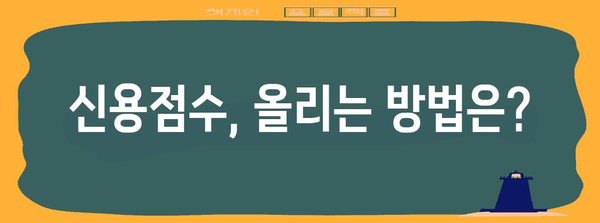 신용점수 평가 완전 해부 | 점수표 활용과 신용관리