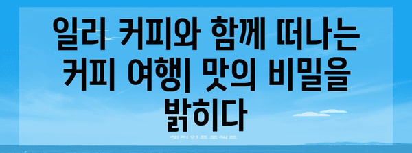 홈 카페에 테이크아웃! 일리 커피 추출 및 맛 비교 가이드