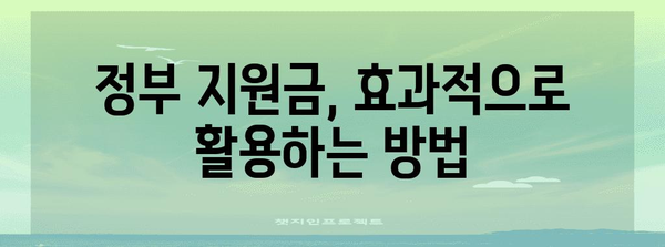 정부정책자금 지원 | 중소기업 성장을 위한 완벽한 지침