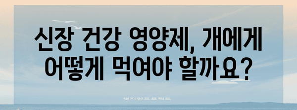 개 방광염 환자를 위한 신장 건강 영양제 | 강아지의 신장 기능을 지키는 비결