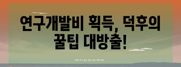 연구개발비 획득 전략 덕후의 10년 노하우 공개!