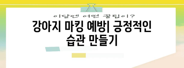 강아지 배변 훈련 | 마킹 제거를 위한 효과적인 방법