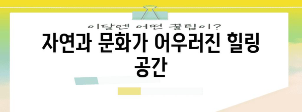 장규리 존 | 관광과 휴식의 완벽한 조화