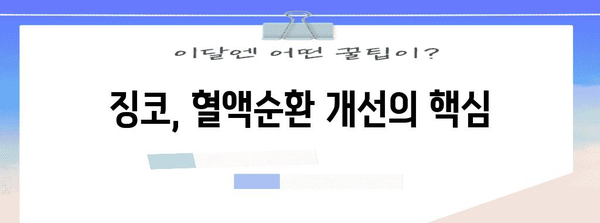 혈행 개선 효능 극대화 | 징코 영양제 가이드