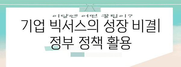 정부 정책 지원 활용으로 기업 빅서스 | 성공 사례 공유