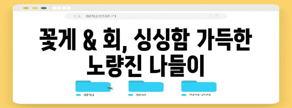 노량진 수산시장 즐기기 | 꽃게와 회 추천