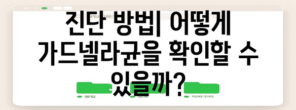 가드넬라균의 비밀 해결책 | 원인, 증상, 완치 가능성