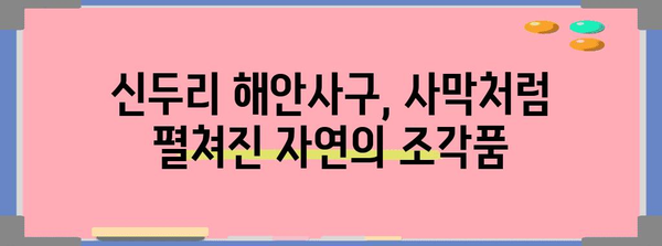 태안 신두리 해안사구| 천연기념물 431호, 아름다운 자연을 만나다 | 신두리 해안사구, 사막, 갯벌, 생태 관광, 여행