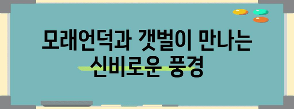 태안 신두리 해안사구| 천연기념물 431호, 아름다운 자연을 만나다 | 신두리 해안사구, 사막, 갯벌, 생태 관광, 여행