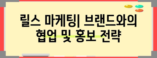 인스타그램 릴스로 수익 창출 | 자립을 위한 안내서