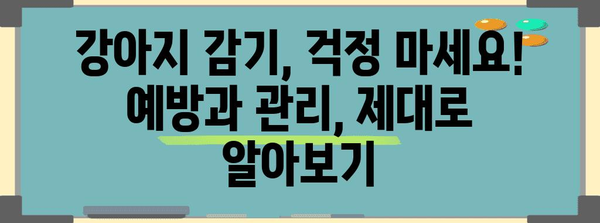 강아지 감기 예방 필수품 | 면역력 강화 영양제 추천