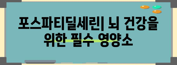 포스파티딜세린의 뇌 건강 효과 | 과학적 근거와 실제적 이점