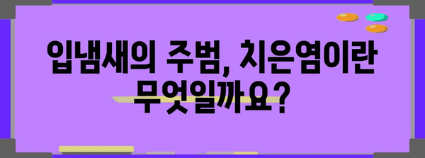 입냄새의 주범, 치은염 알기 | 원인과 해결 방법