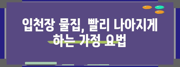 입천장 물집 통증 완화 | 가정 요법과 팁