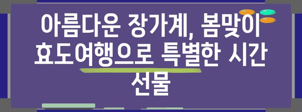 효도여행으로 봄맞이 | 장가계 패키지로 부모님께 감동 선사