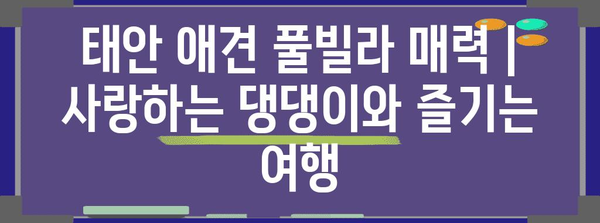 태안 애견 풀빌라 매력 | 사랑하는 댕댕이와 즐기는 여행