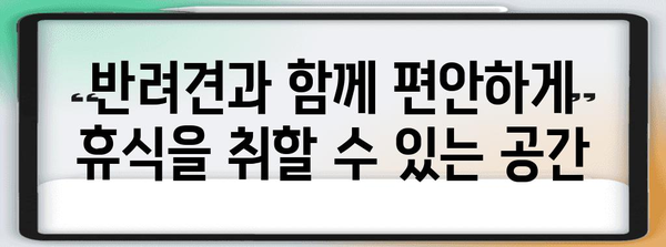 애견과 함께하는 하남 카페 | 골든타임을 위한 이상적인 장소