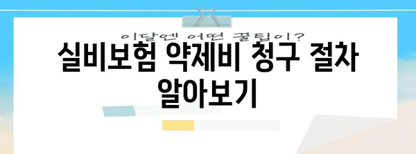 실비보험 약제 비용 확인 | 요건과 절차 안내