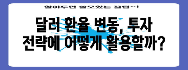 미래의 달러 투자 전략 | 환율 전망과 경제적 영향