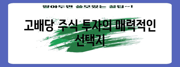 TIGER 고배당 플러스 ETF 종합 분석