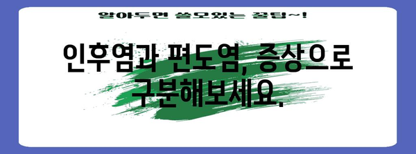 인후염 vs 편도염 | 증상, 원인, 치료법 비교 안내