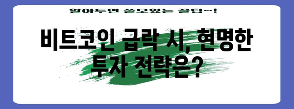 비트코인 급락 기회 포착하기 | 시기와 대응책