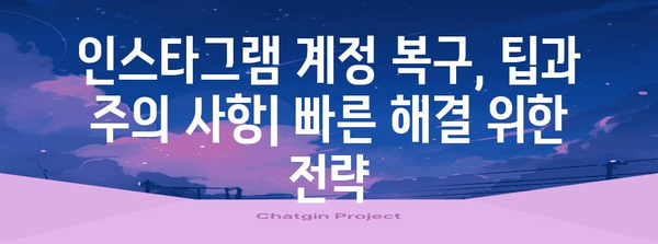 인스타그램 계정 복구 방법론 | 강제 비활성화 해제 성공사례