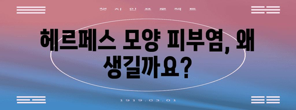 피부염 원인과 증상 가이드 | 헤르페스 모양 피부염 완벽 분석