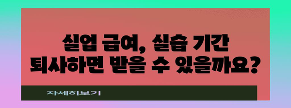 실업 급여 조건 변화 | 실습 기간 퇴사와 4대 보험에 미치는 영향