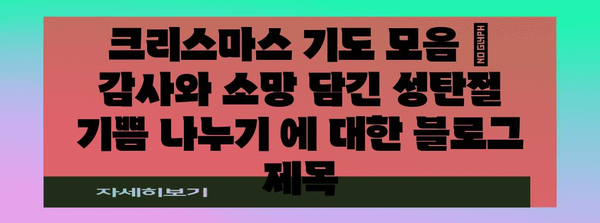 크리스마스 기도 모음 | 감사와 소망 담긴 성탄절 기쁨 나누기