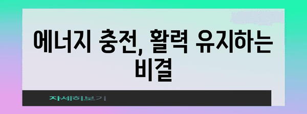 중년 여성을 위한 필수 영양소 | 건강 유지 핵심