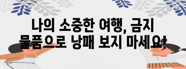 비행기 기내 금지 물품 총정리 | 편안하고 안전한 여행을 위한 필수 지식