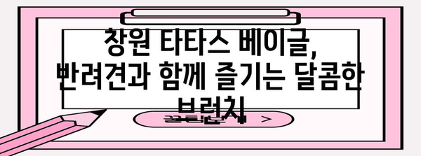 창원 타타스 베이글 | 반려견과 함께하는 달콤한 브런치