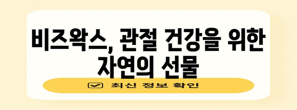 비즈왁스의 건강 이점 | 관절과 위장 건강에 필수 영양소