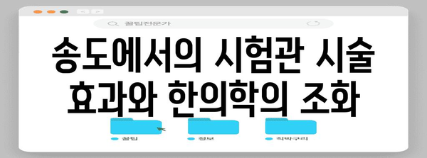 시험관 시술 지원 | 한의학적 치료를 활용한 송도 사례